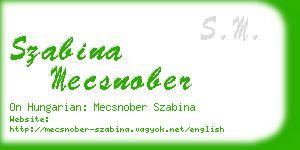 szabina mecsnober business card